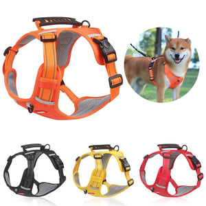 The Easy No-Pull Harness